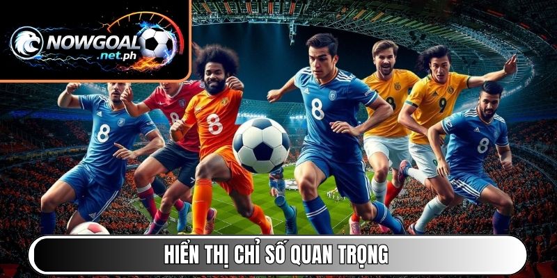 Hiển thị chỉ số quan trọng