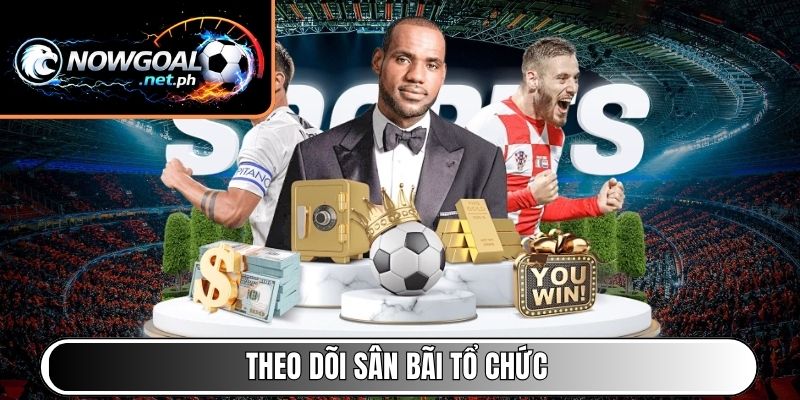 Theo dõi sân bãi tổ chức