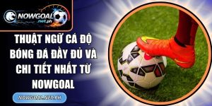 Thuật Ngữ Cá Độ Bóng Đá